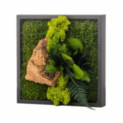 Tableau Végétal Mural Stabilisé 22cm Noir -Jardin Et Extérieur tableau vegetal mural stabilise 22cm noir 1