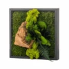 Tableau Végétal Mural Stabilisé 22cm Noir -Jardin Et Extérieur tableau vegetal mural stabilise 22cm noir