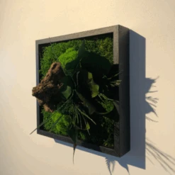 Tableau Végétal Mural Stabilisé 22cm Noir -Jardin Et Extérieur tableau vegetal mural stabilise 22cm noir 2