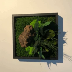 Tableau Végétal Mural Stabilisé 22cm Noir -Jardin Et Extérieur tableau vegetal mural stabilise 22cm noir 4