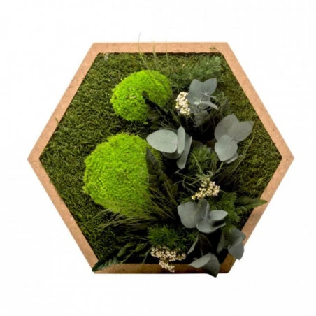 Tableau Végétal Mural Stabilisé 34cm Hex 4 Tableau Végétal Mural Stabilisé 34cm Hex – Image 2