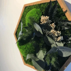 Tableau Végétal Mural Stabilisé 34cm Hex 20 Tableau Végétal Mural Stabilisé 34cm Hex -Jardin Et Extérieur tableau vegetal mural stabilise 34cm hex 4