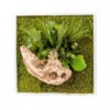 Tableau Végétal Mural Stabilisé 35cm Blanc 2 Tableau Végétal Mural Stabilisé 35cm Blanc -Jardin Et Extérieur tableau vegetal mural stabilise 35cm blanc