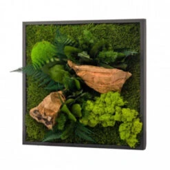 Tableau Végétal Mural Stabilisé 35cm Noir -Jardin Et Extérieur tableau vegetal mural stabilise 35cm noir 1