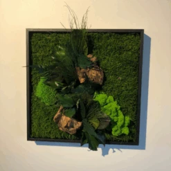 Tableau Végétal Mural Stabilisé 35cm Noir -Jardin Et Extérieur tableau vegetal mural stabilise 35cm noir 2