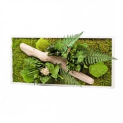 Tableau Végétal Mural Stabilisé 57cm Blanc -Jardin Et Extérieur tableau vegetal mural stabilise 57cm blanc 1
