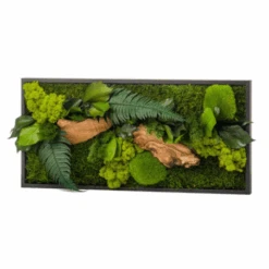Tableau Végétal Mural Stabilisé 57cm Noir -Jardin Et Extérieur tableau vegetal mural stabilise 57cm noir 1