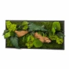 Tableau Végétal Mural Stabilisé 57cm Noir -Jardin Et Extérieur tableau vegetal mural stabilise 57cm noir