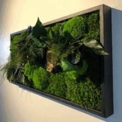 Tableau Végétal Mural Stabilisé 57cm Noir -Jardin Et Extérieur tableau vegetal mural stabilise 57cm noir 3