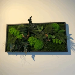 Tableau Végétal Mural Stabilisé 57cm Noir -Jardin Et Extérieur tableau vegetal mural stabilise 57cm noir 4