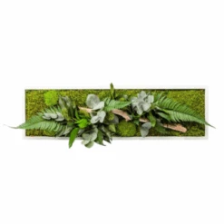 Tableau Végétal Mural Stabilisé 70cm B -Jardin Et Extérieur tableau vegetal mural stabilise 70cm b 1
