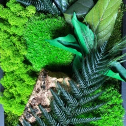 Tableau Végétal Mural Stabilisé 70cm B -Jardin Et Extérieur tableau vegetal mural stabilise 70cm b 3