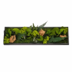 Tableau Végétal Mural Stabilisé 70cm Noir -Jardin Et Extérieur tableau vegetal mural stabilise 70cm noir 1