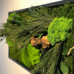 Tableau Végétal Mural Stabilisé 70cm Noir -Jardin Et Extérieur tableau vegetal mural stabilise 70cm noir 2