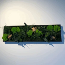 Tableau Végétal Mural Stabilisé 70cm Noir -Jardin Et Extérieur tableau vegetal mural stabilise 70cm noir 4