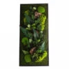 Tableau Végétal Mural Stabilisé 90cm N -Jardin Et Extérieur tableau vegetal mural stabilise 90cm n