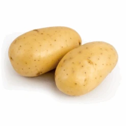 Talentine 60 Plants De Pomme De Terre