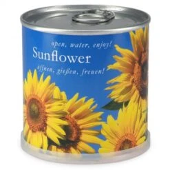 Tournesol à Faire Pousser En Boite -Jardin Et Extérieur tournesol a faire pousser en boite 1