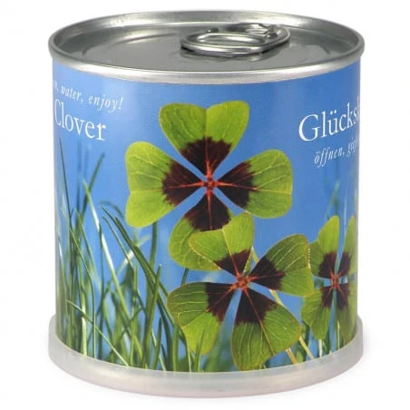Trèfle à 4 Feuilles à Faire Pousser En Boite 3 Trèfle à 4 Feuilles à Faire Pousser En Boite